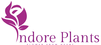 Indore Plants